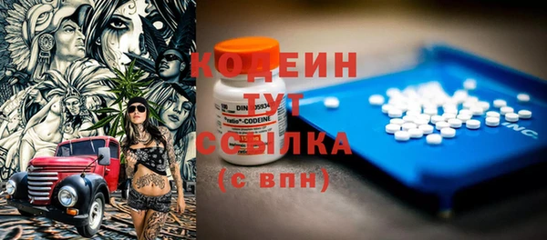 дмт Козельск