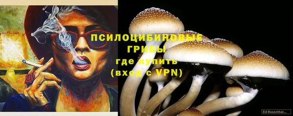 бутират Кодинск